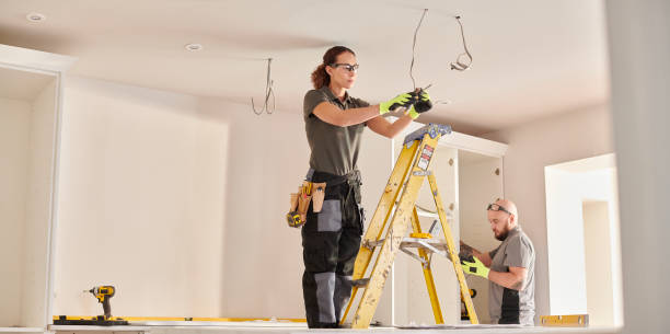 Best Electric Panel Repair  in Wyanet, IL