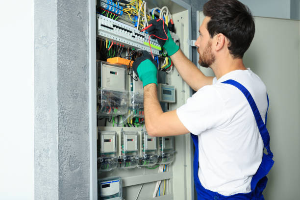 Best Home Electrical Repair  in Wyanet, IL